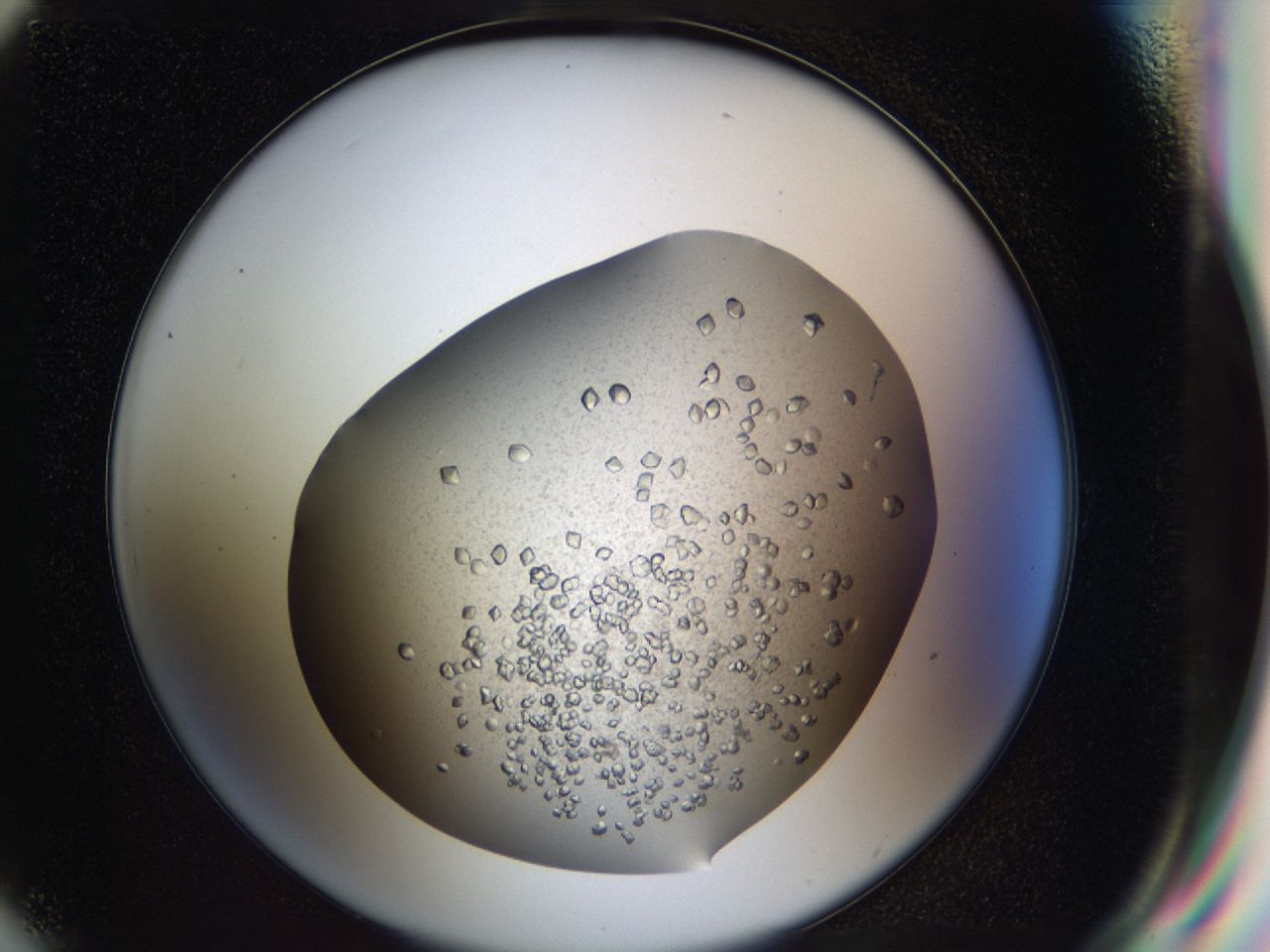 043a_G7_ImagerDefaults_7.jpg