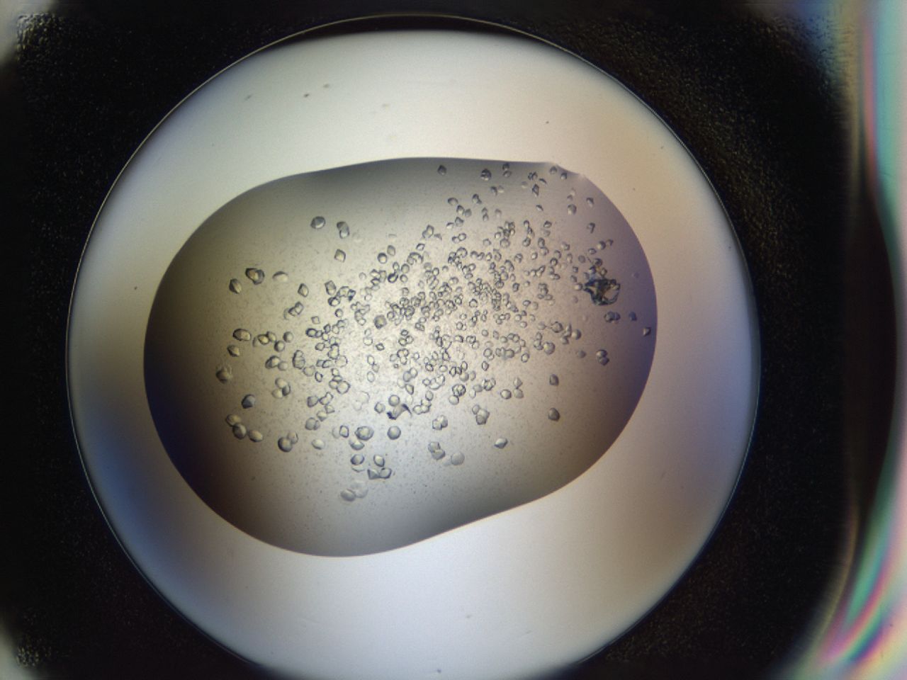 043a_G8_ImagerDefaults_8.jpg