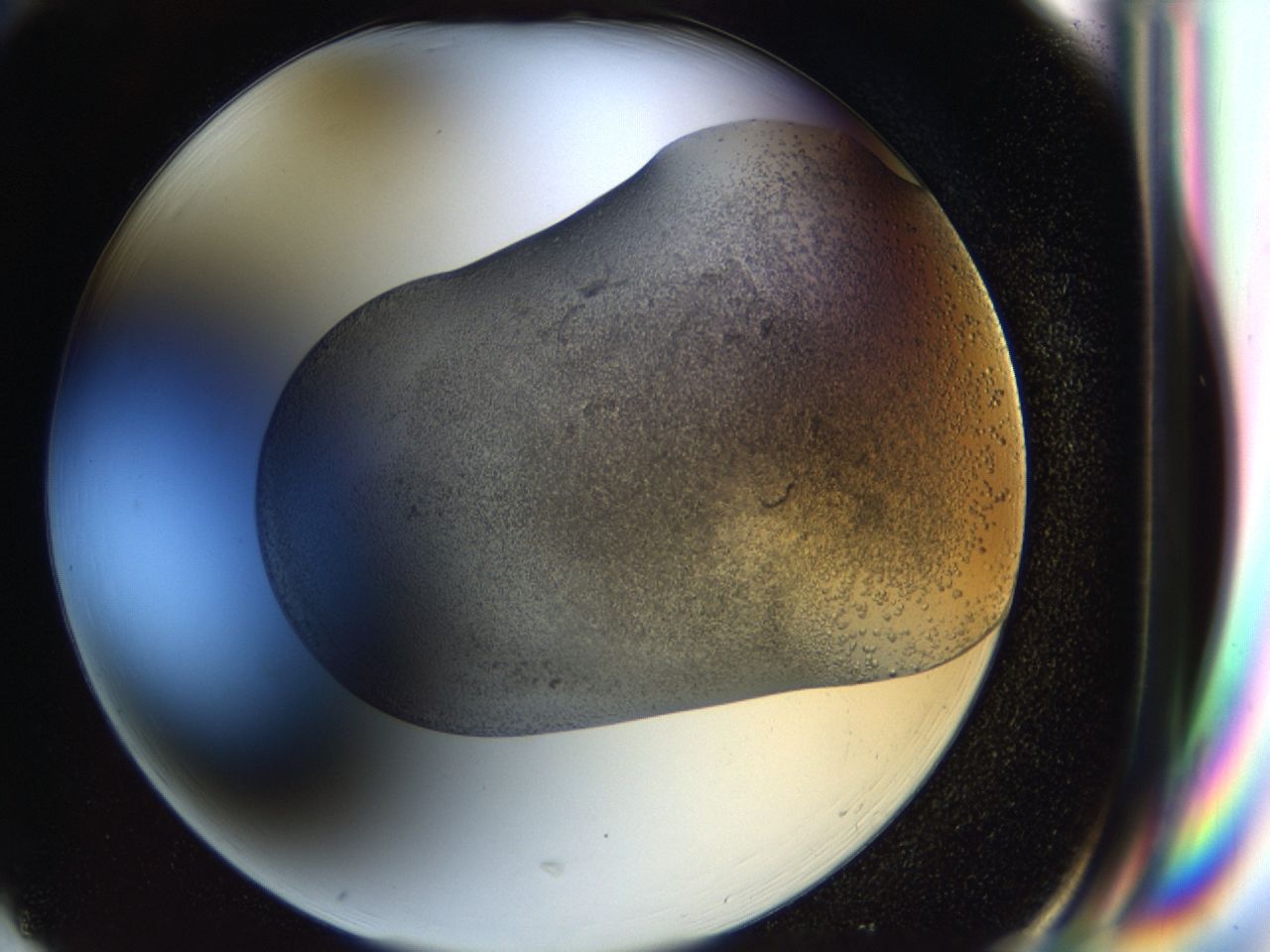 043a_H1_ImagerDefaults_6.jpg