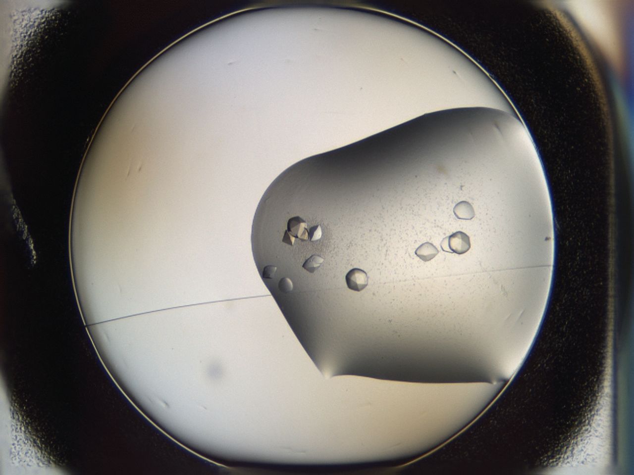 043b_A1_ImagerDefaults_9.jpg