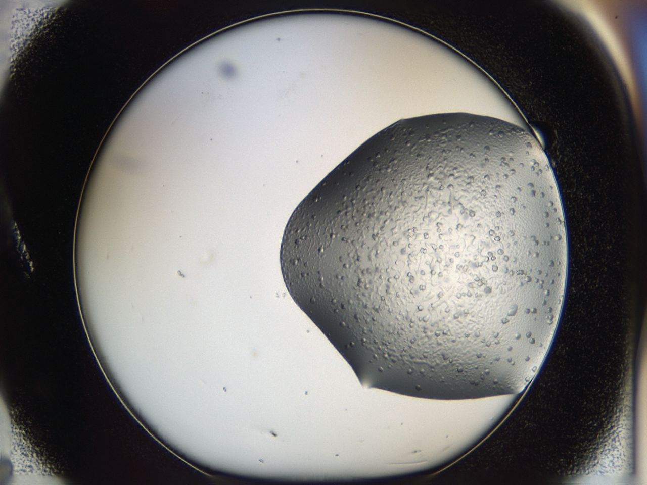 043b_A7_ImagerDefaults_7.jpg