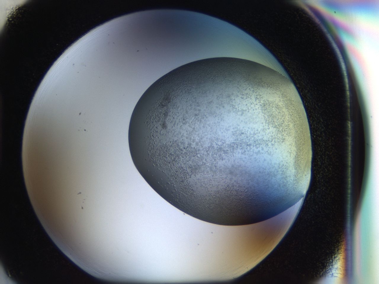 043b_H3_ImagerDefaults_6.jpg