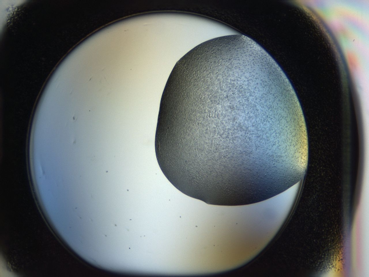043b_H7_ImagerDefaults_6.jpg