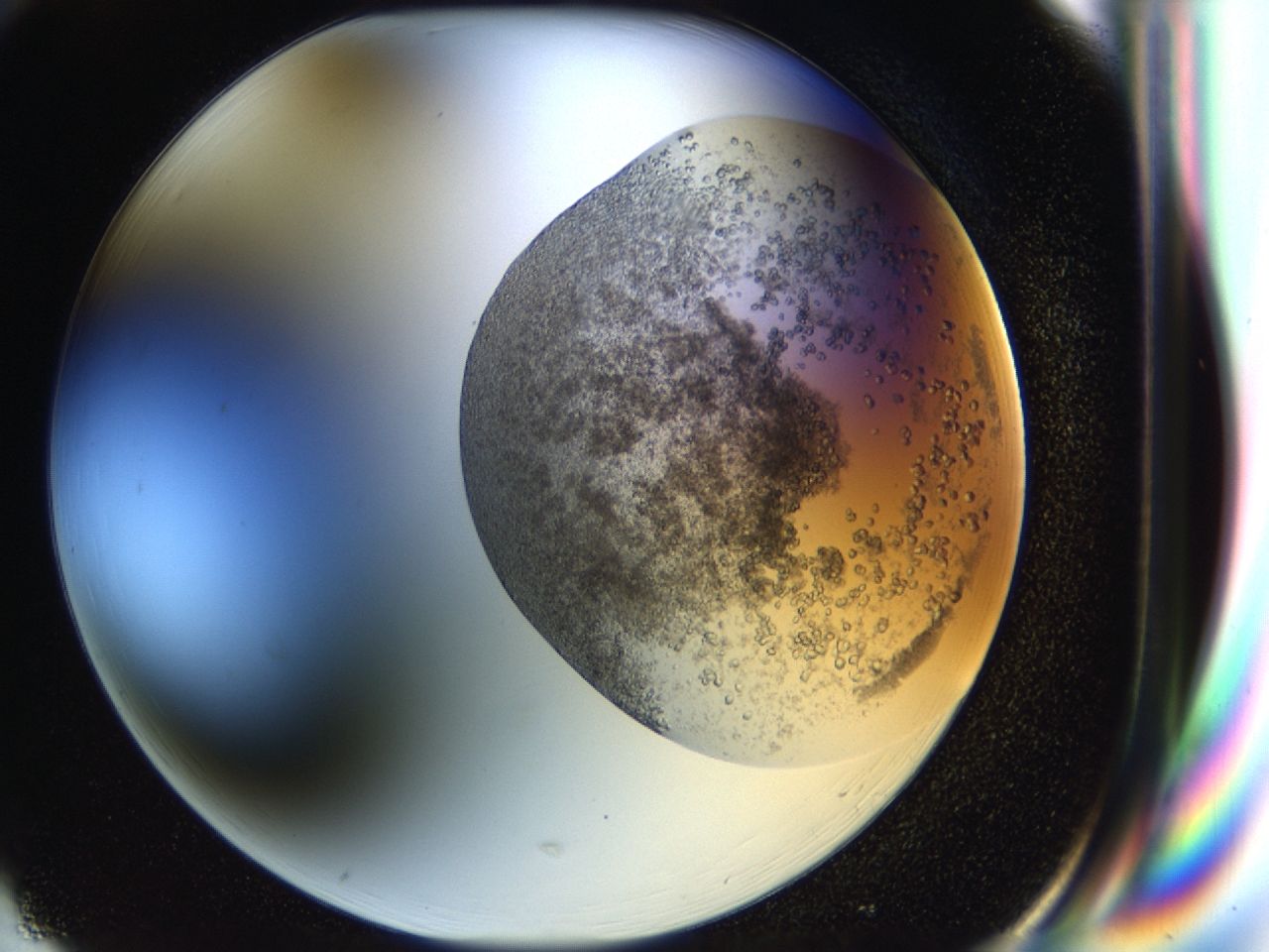 043b_H1_ImagerDefaults_6.jpg