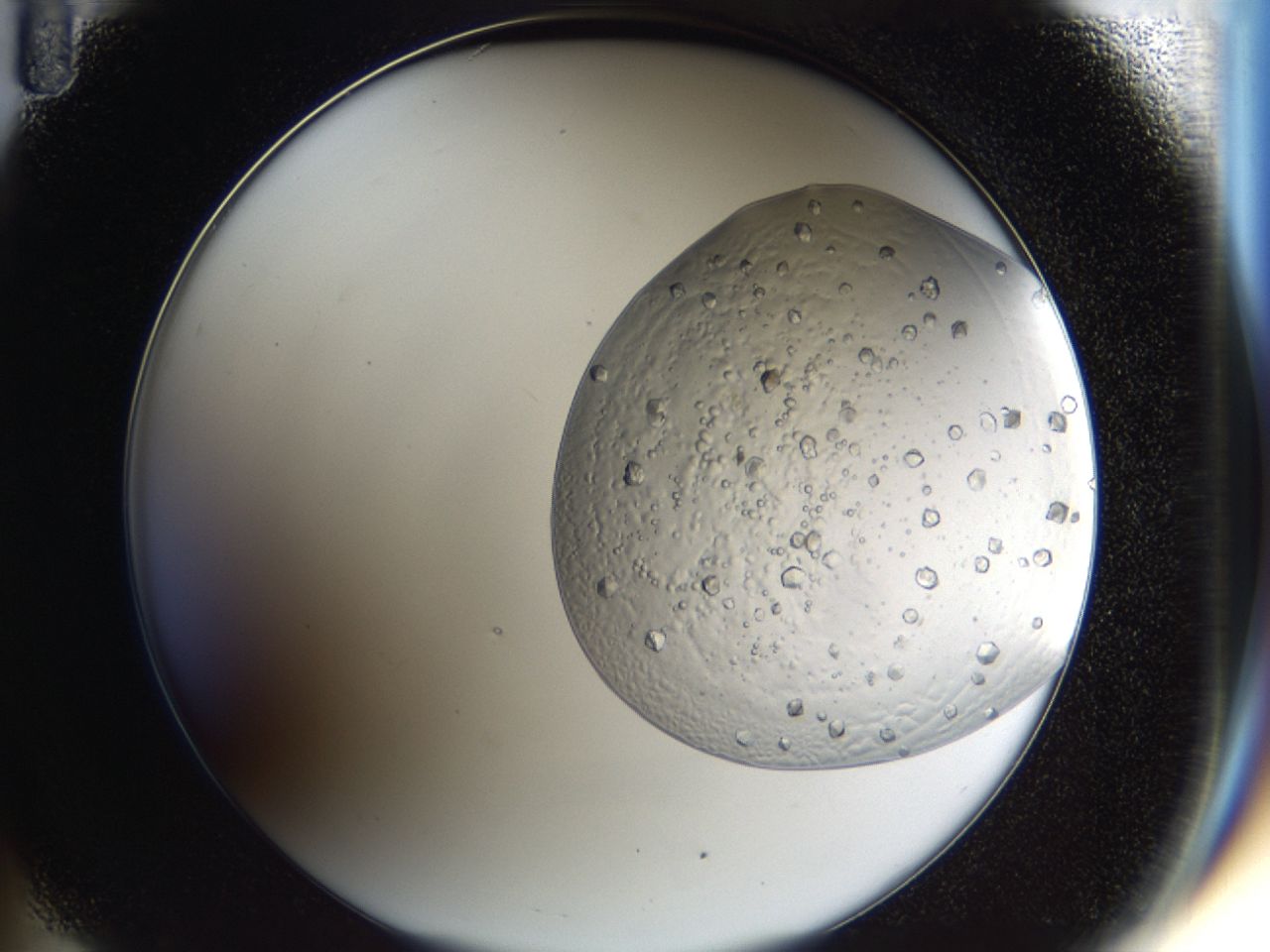 043b_B11_ImagerDefaults_6.jpg