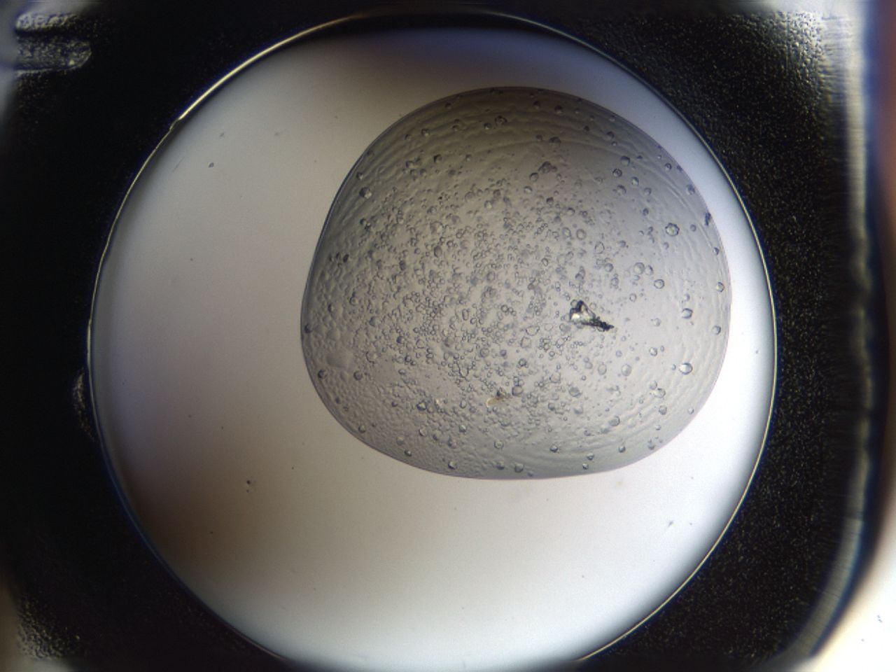 043b_B12_ImagerDefaults_6.jpg