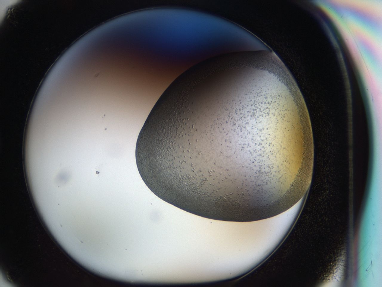 043b_G2_ImagerDefaults_6.jpg