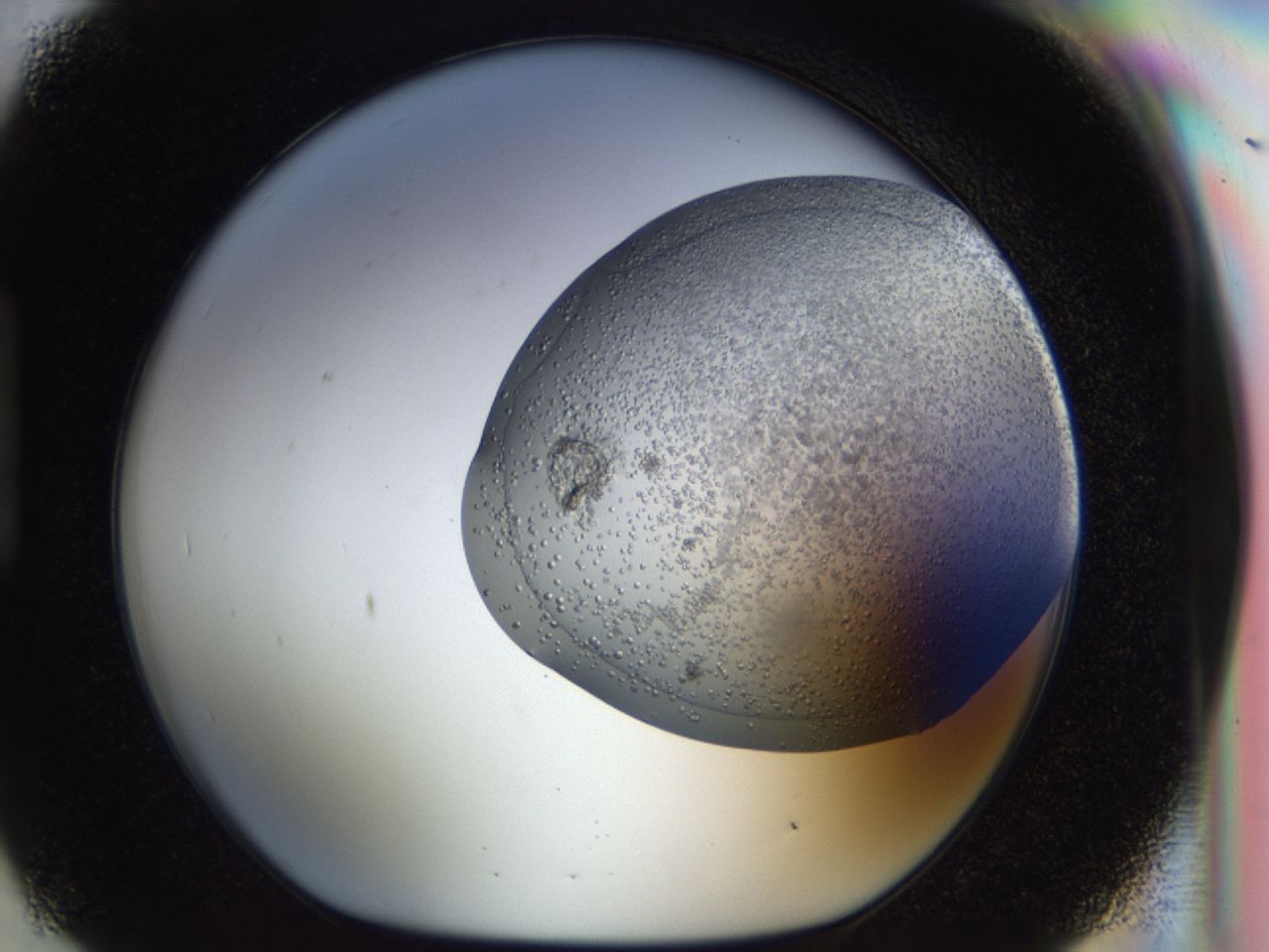 043b_H9_ImagerDefaults_6.jpg
