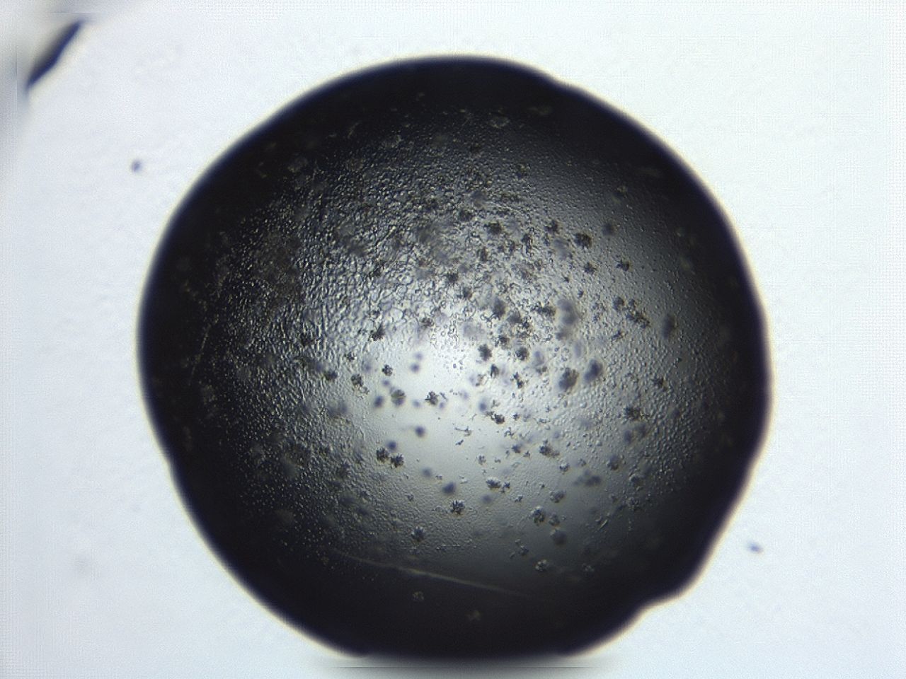 043f_E10_ImagerDefaults_7.jpg