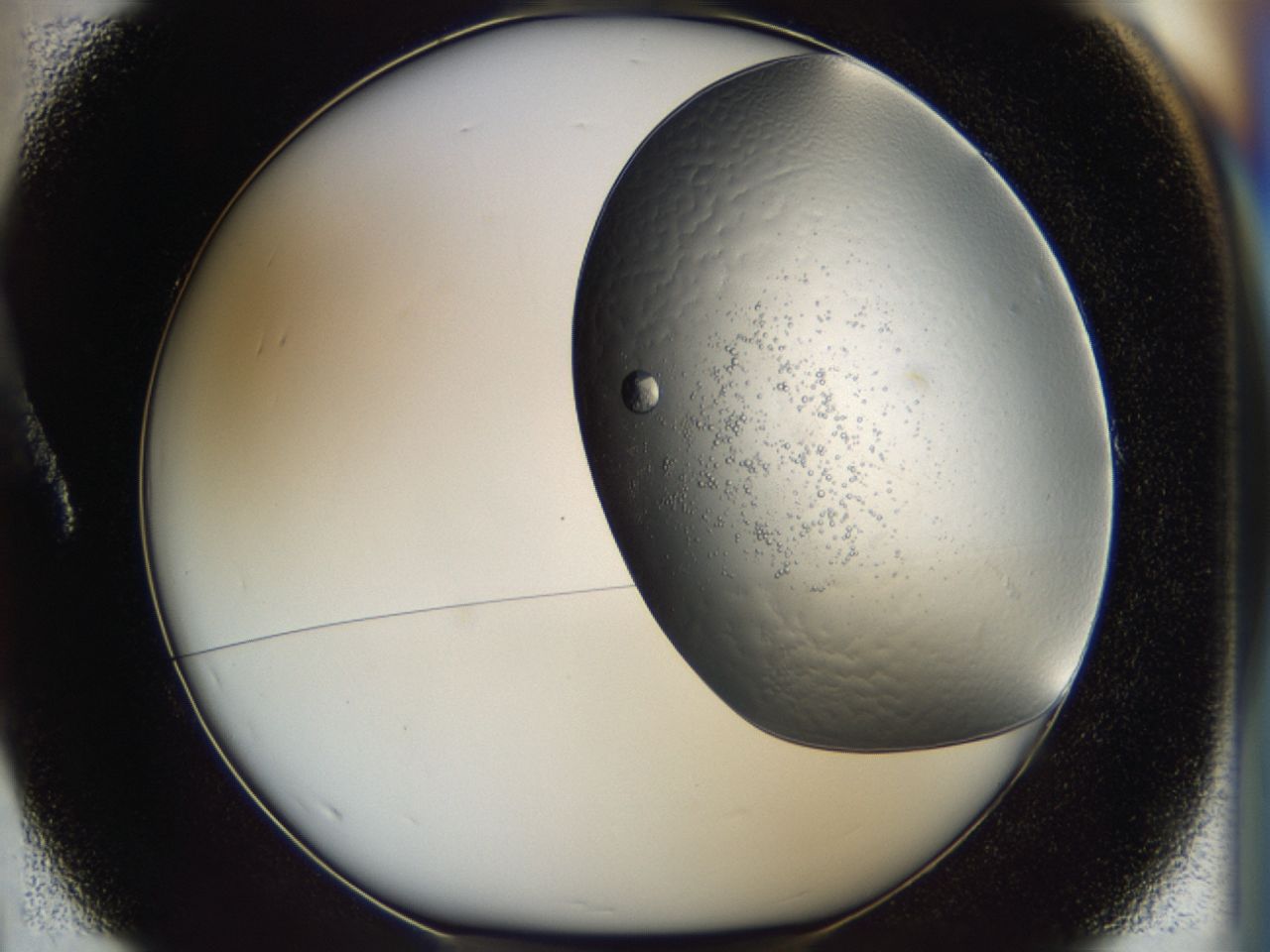043l_A1_ImagerDefaults_8.jpg