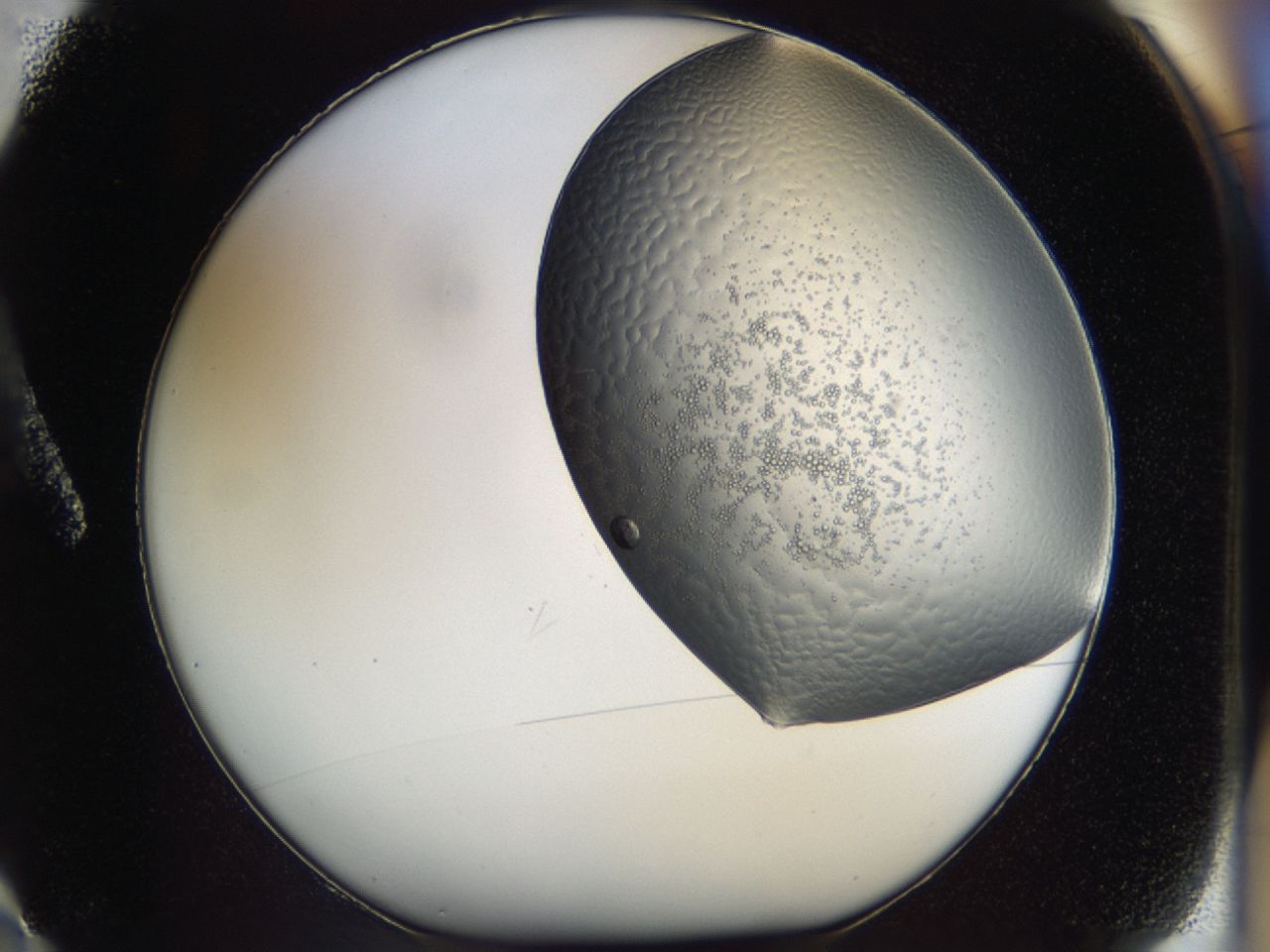 043l_A2_ImagerDefaults_7.jpg