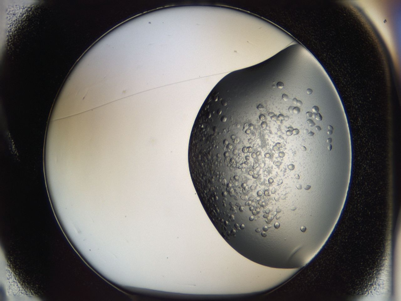 043l_A4_ImagerDefaults_7.jpg