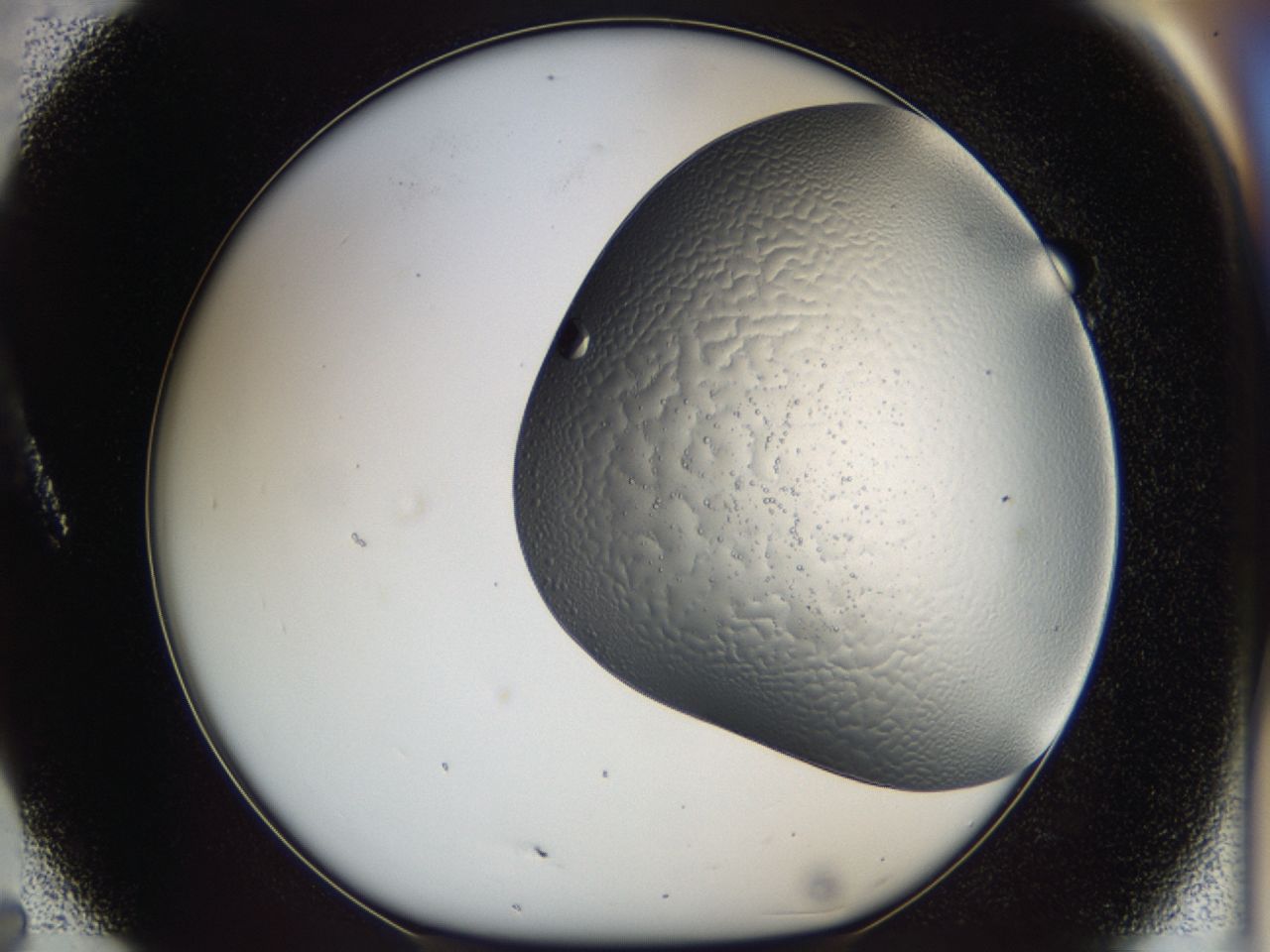 043l_A7_ImagerDefaults_7.jpg