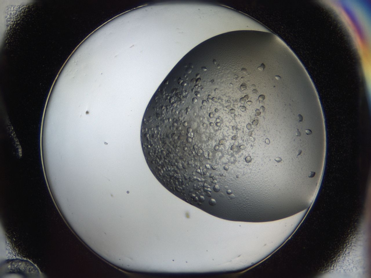 043l_A12_ImagerDefaults_6.jpg