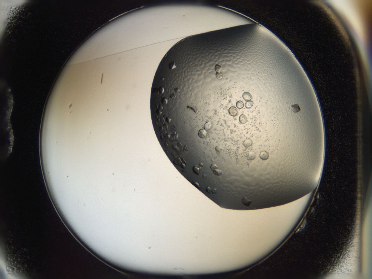 043l_B2_ImagerDefaults_7.jpg