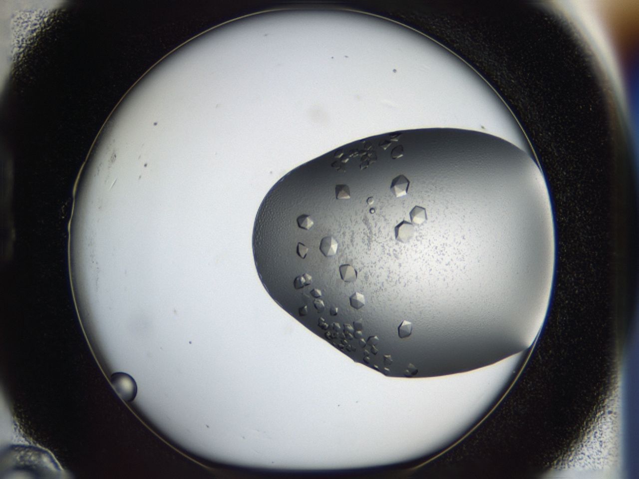 043l_B10_ImagerDefaults_9.jpg
