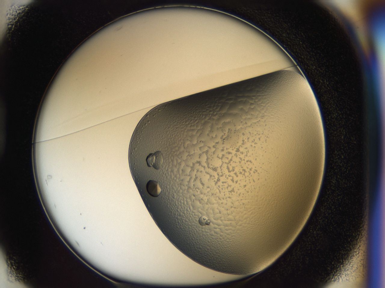 043l_D1_ImagerDefaults_8.jpg