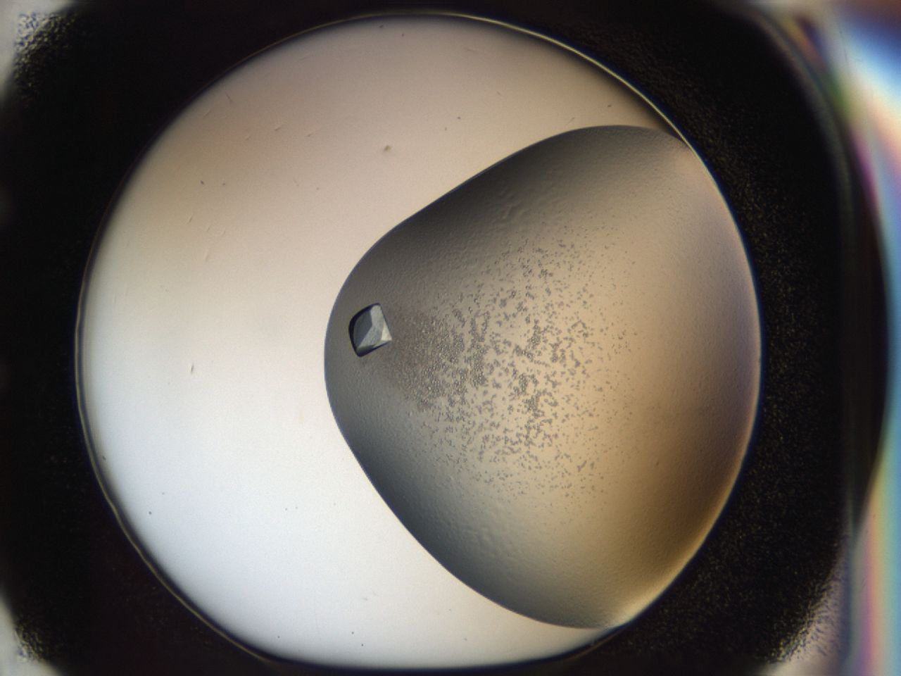 043l_E2_ImagerDefaults_9.jpg