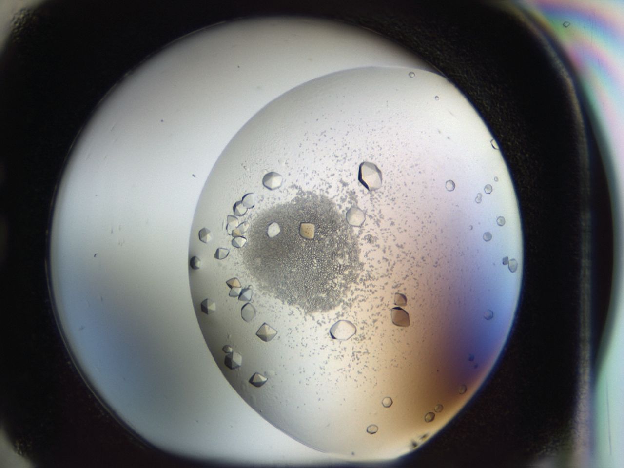 043l_G5_ImagerDefaults_9.jpg