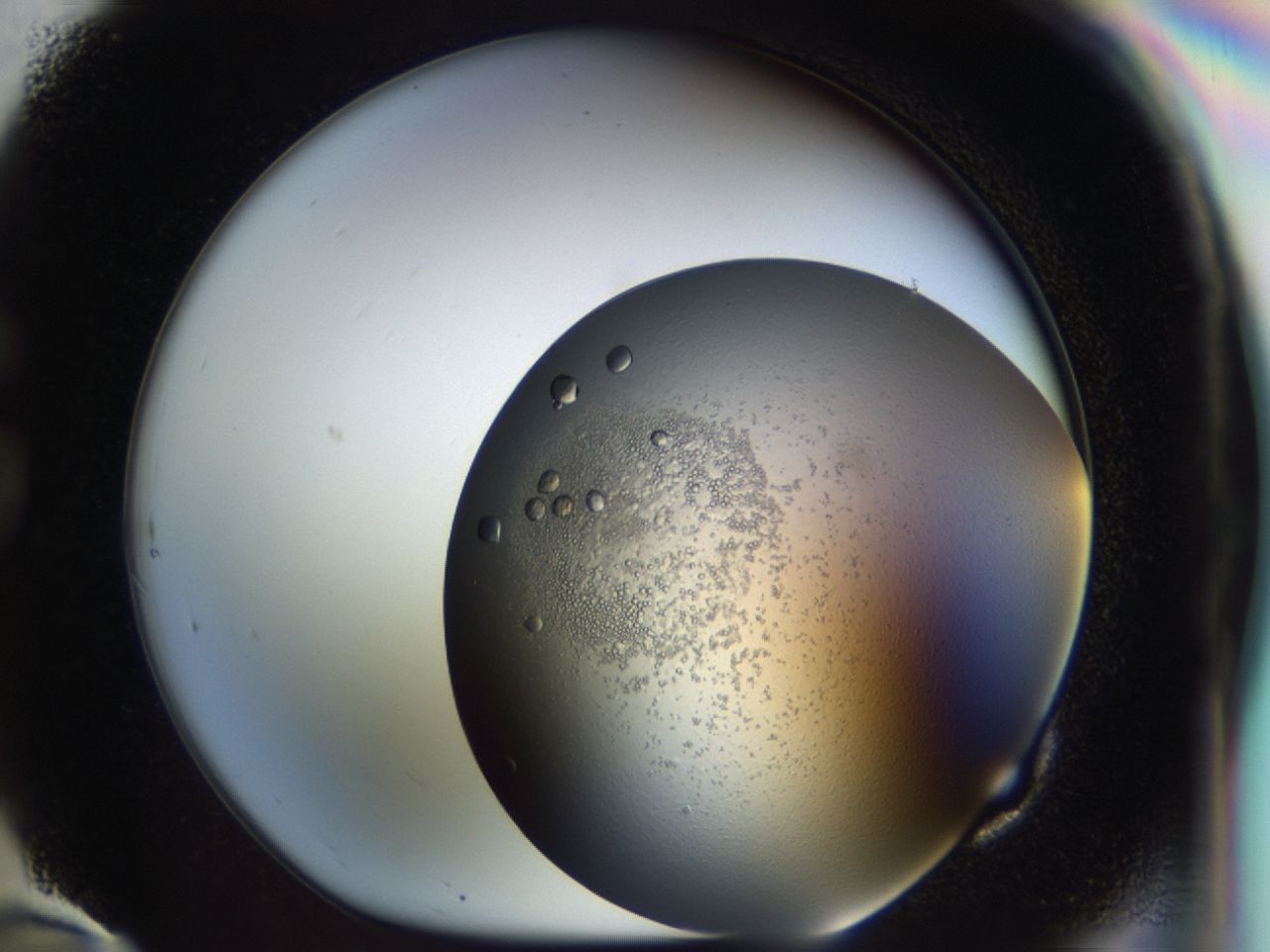 043l_G10_ImagerDefaults_7.jpg