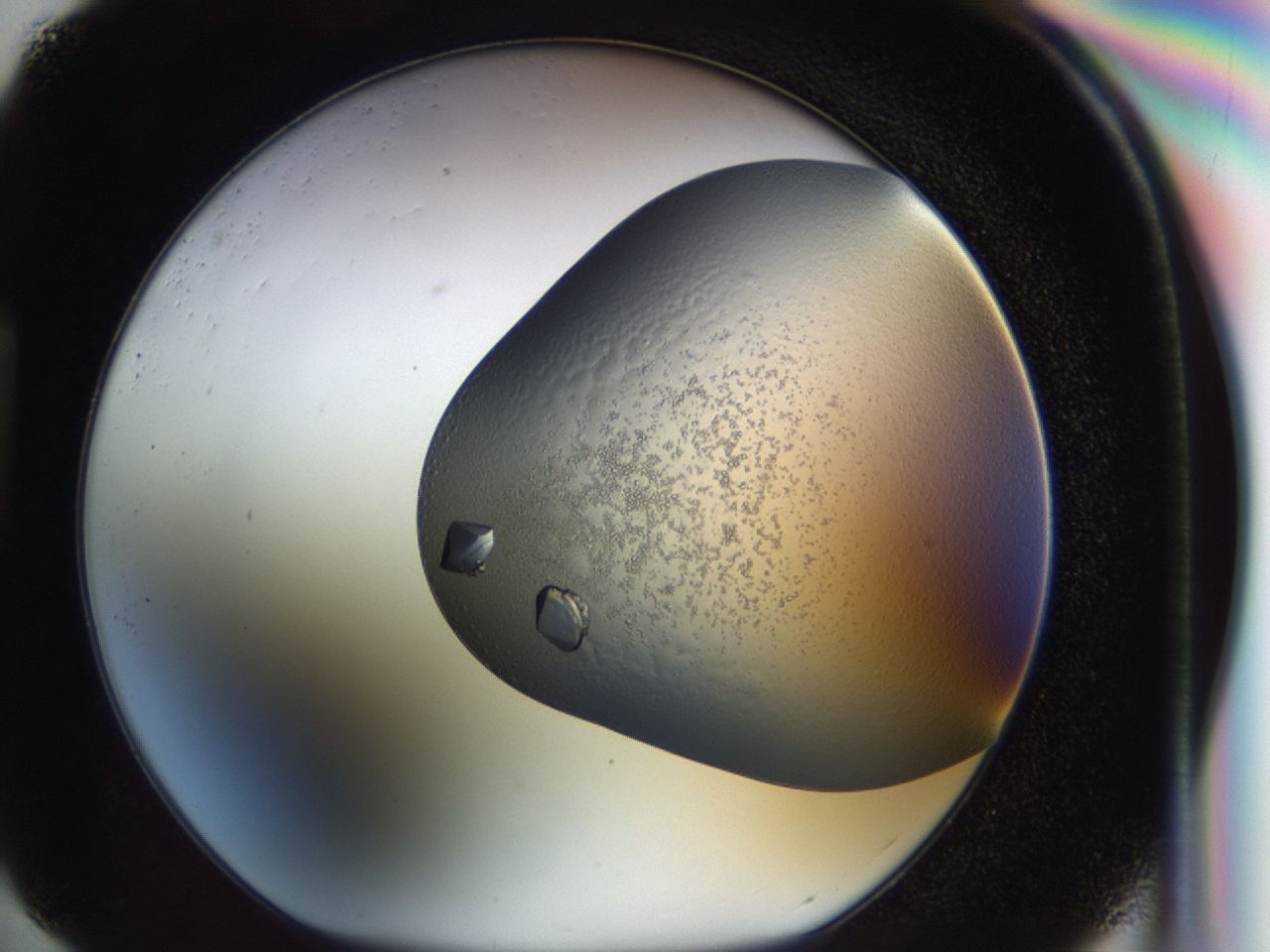 043l_H4_ImagerDefaults_9.jpg