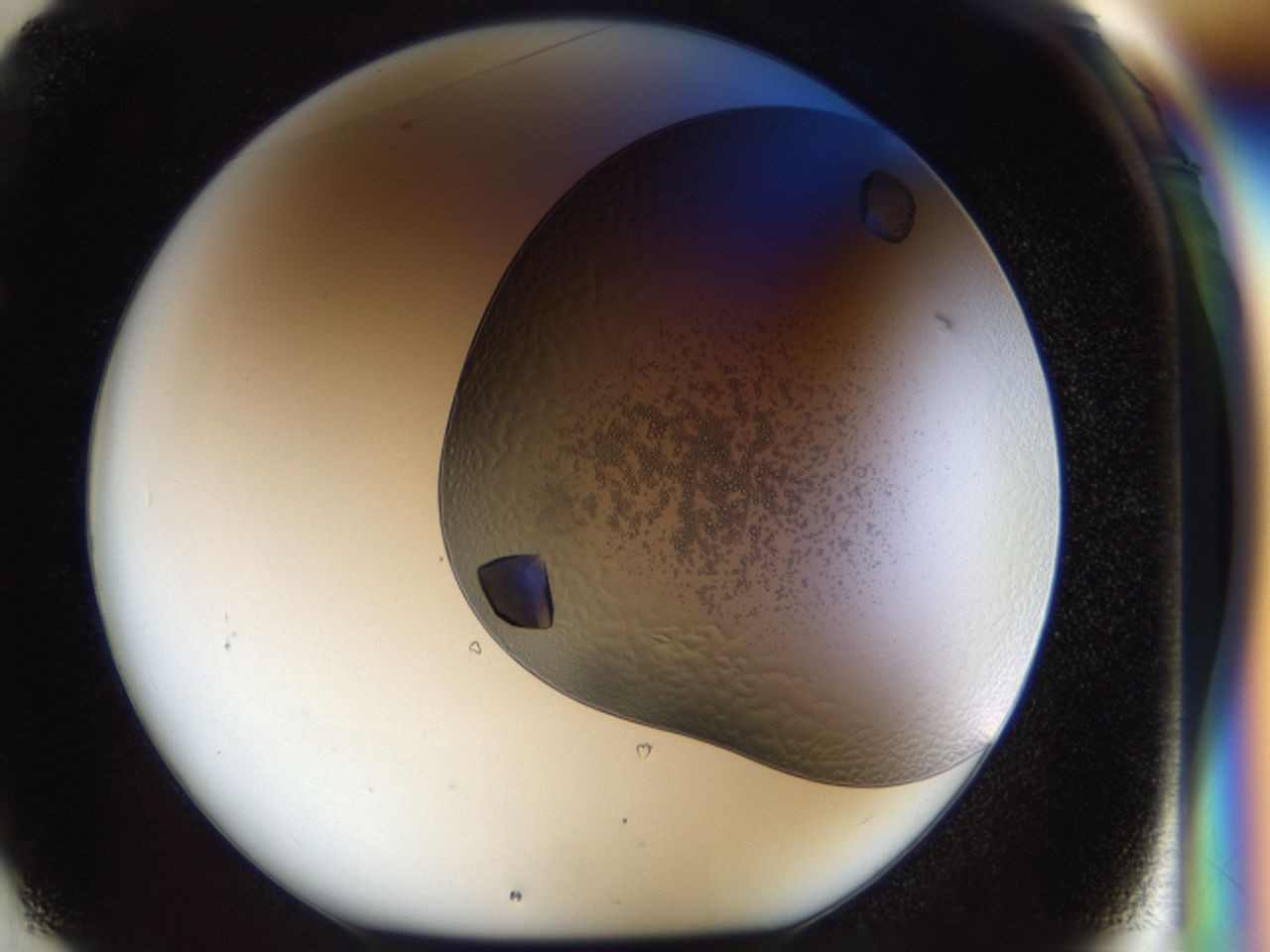 043l_F1_ImagerDefaults_9.jpg