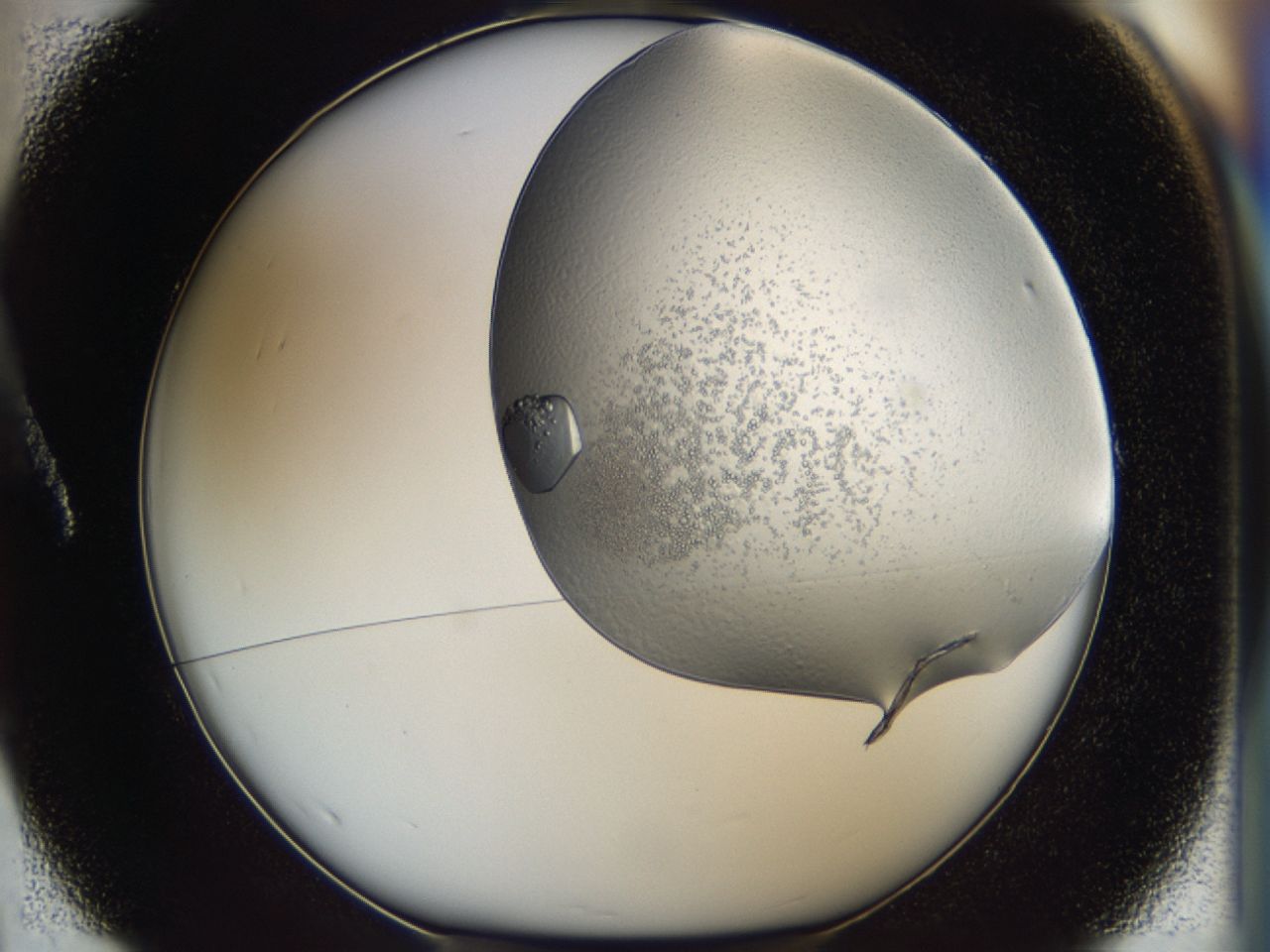 043m_A1_ImagerDefaults_9.jpg