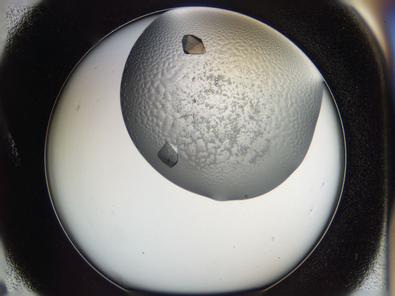 043m_A5_ImagerDefaults_9.jpg
