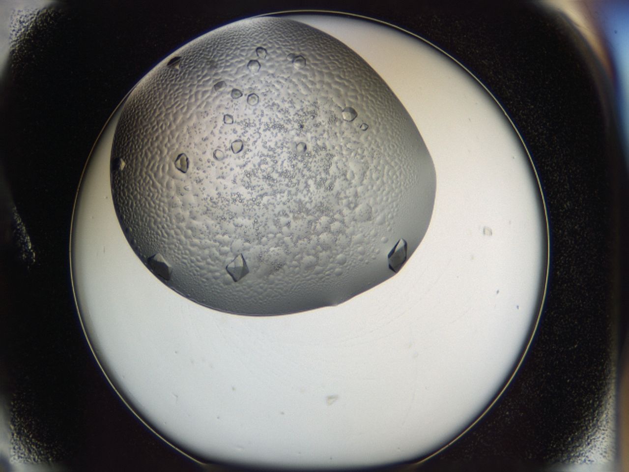 043m_A6_ImagerDefaults_9.jpg