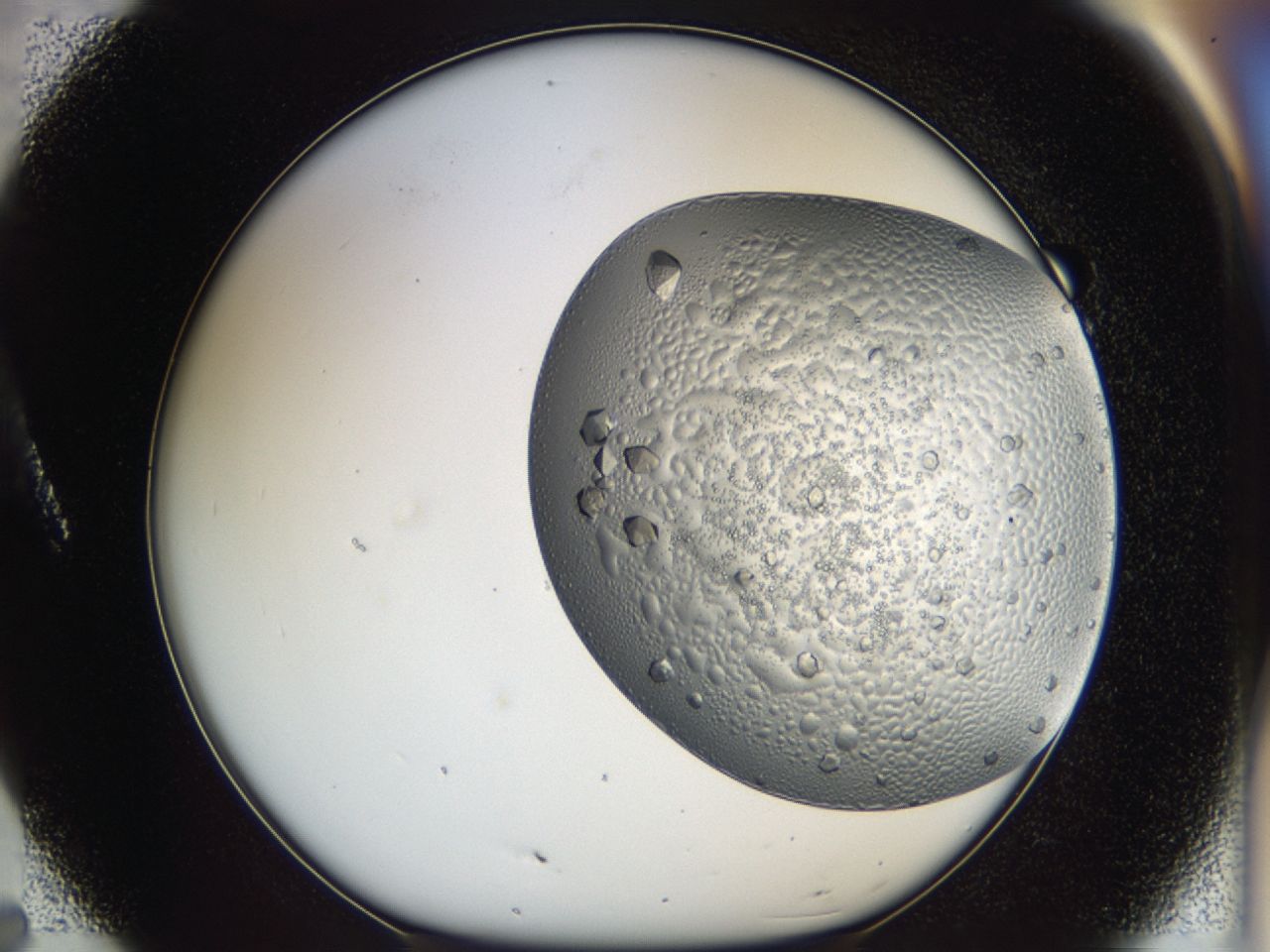 043m_A7_ImagerDefaults_8.jpg