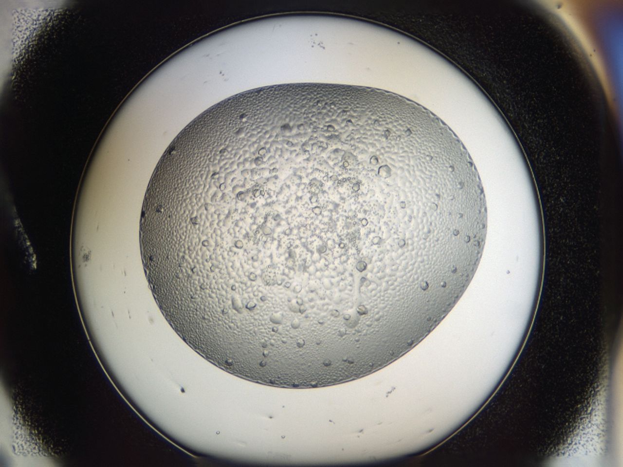 043m_A8_ImagerDefaults_6.jpg