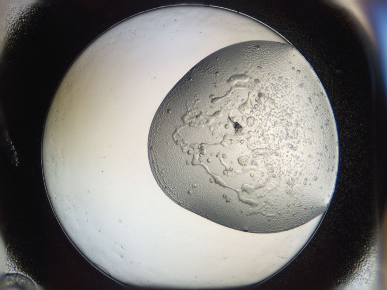 043m_A10_ImagerDefaults_6.jpg