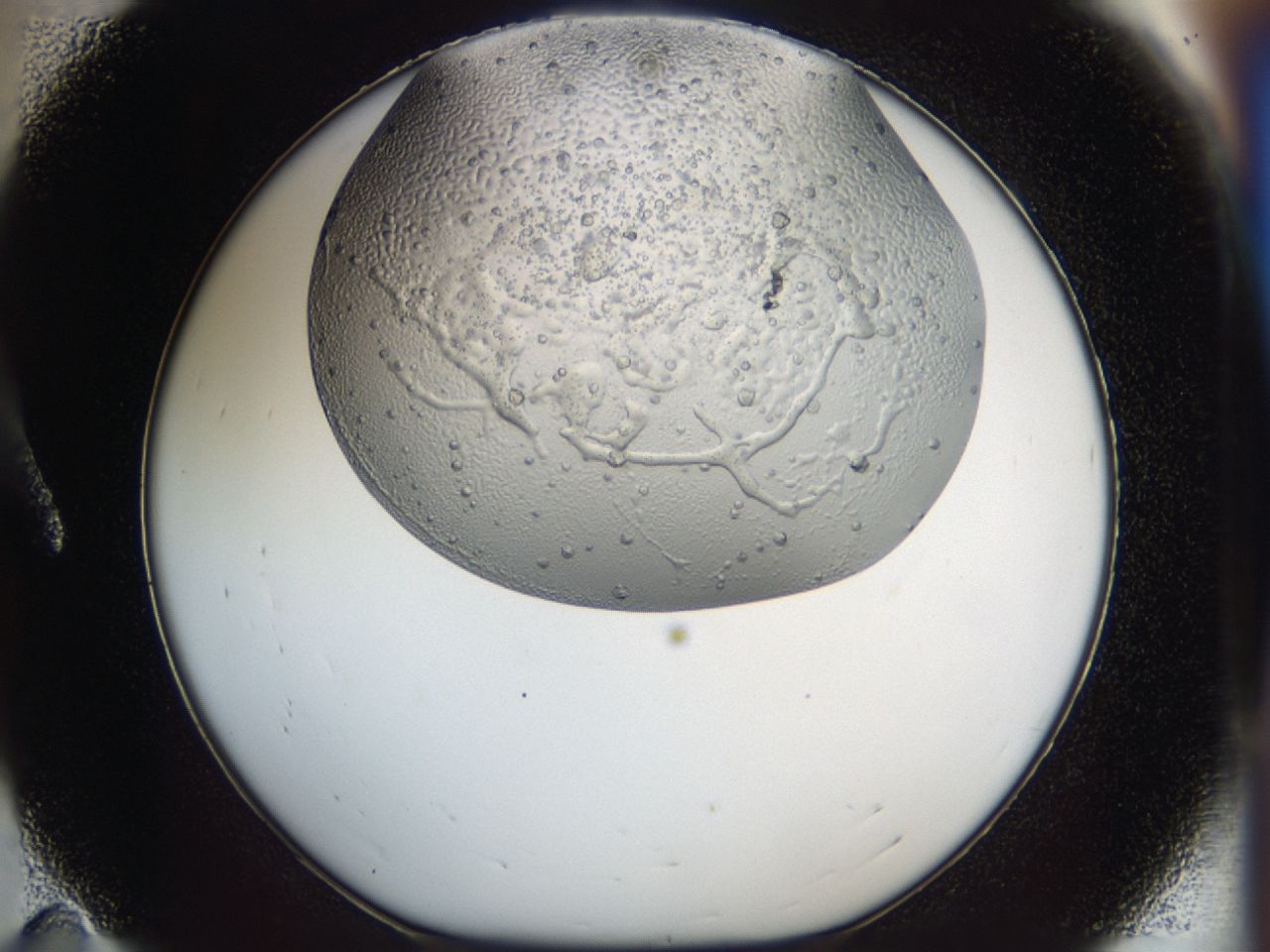 043m_A11_ImagerDefaults_6.jpg
