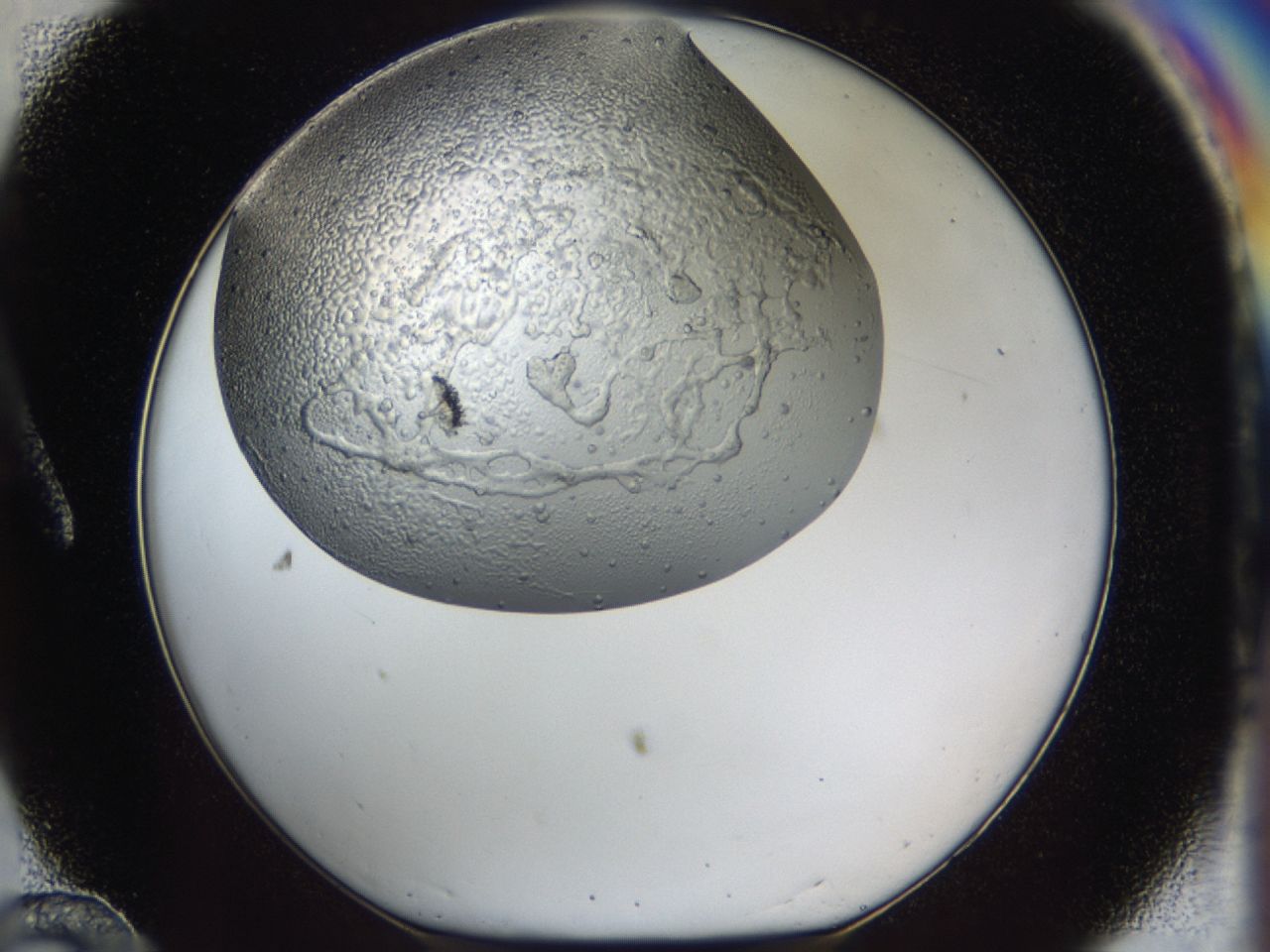 043m_A12_ImagerDefaults_6.jpg