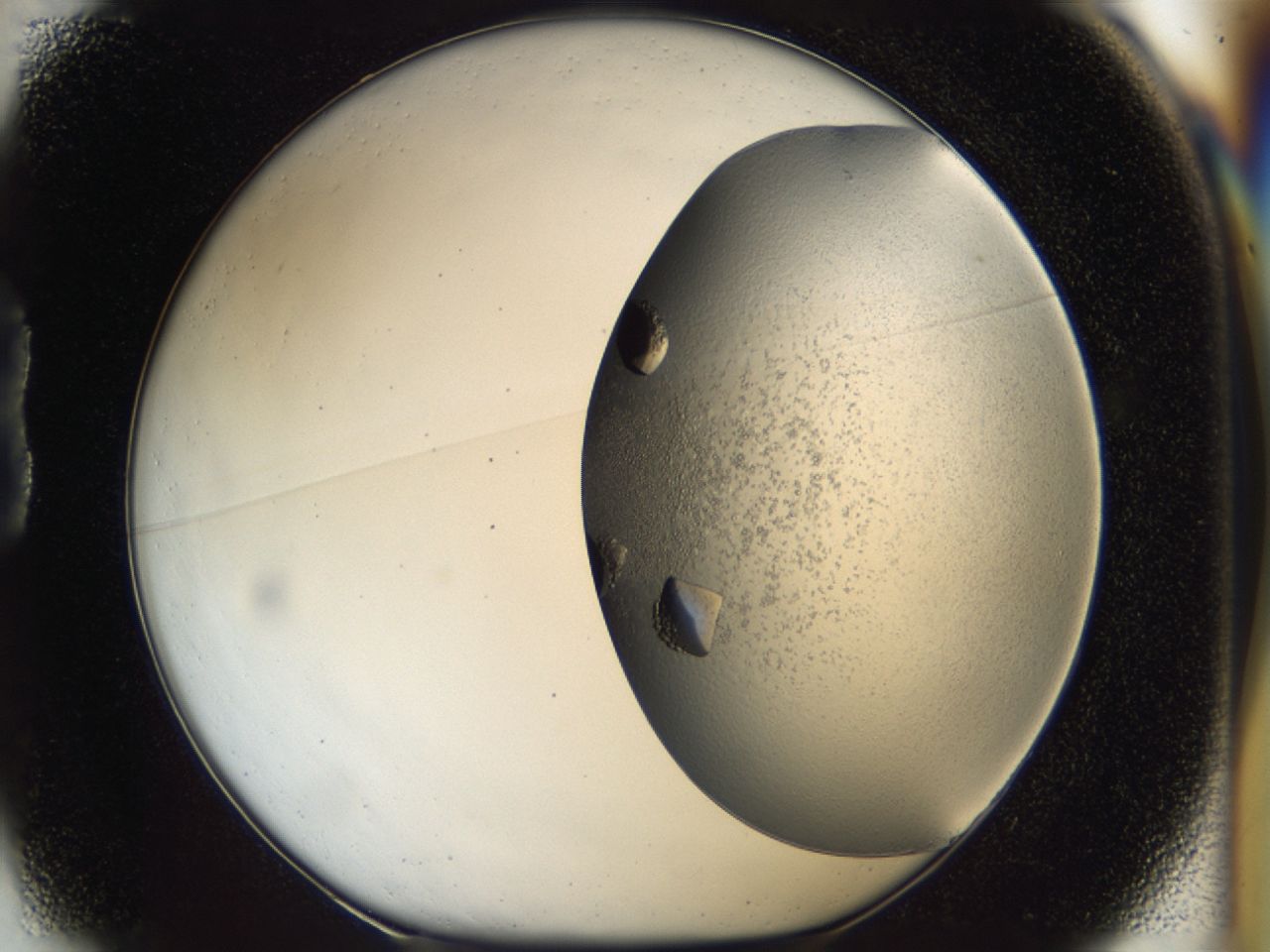 043m_B1_ImagerDefaults_9.jpg