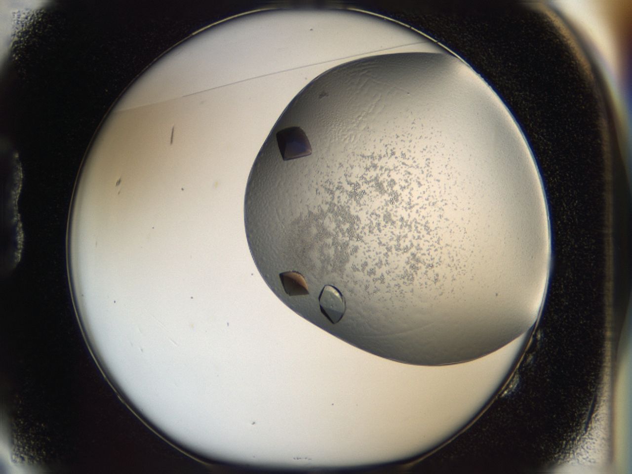 043m_B2_ImagerDefaults_9.jpg