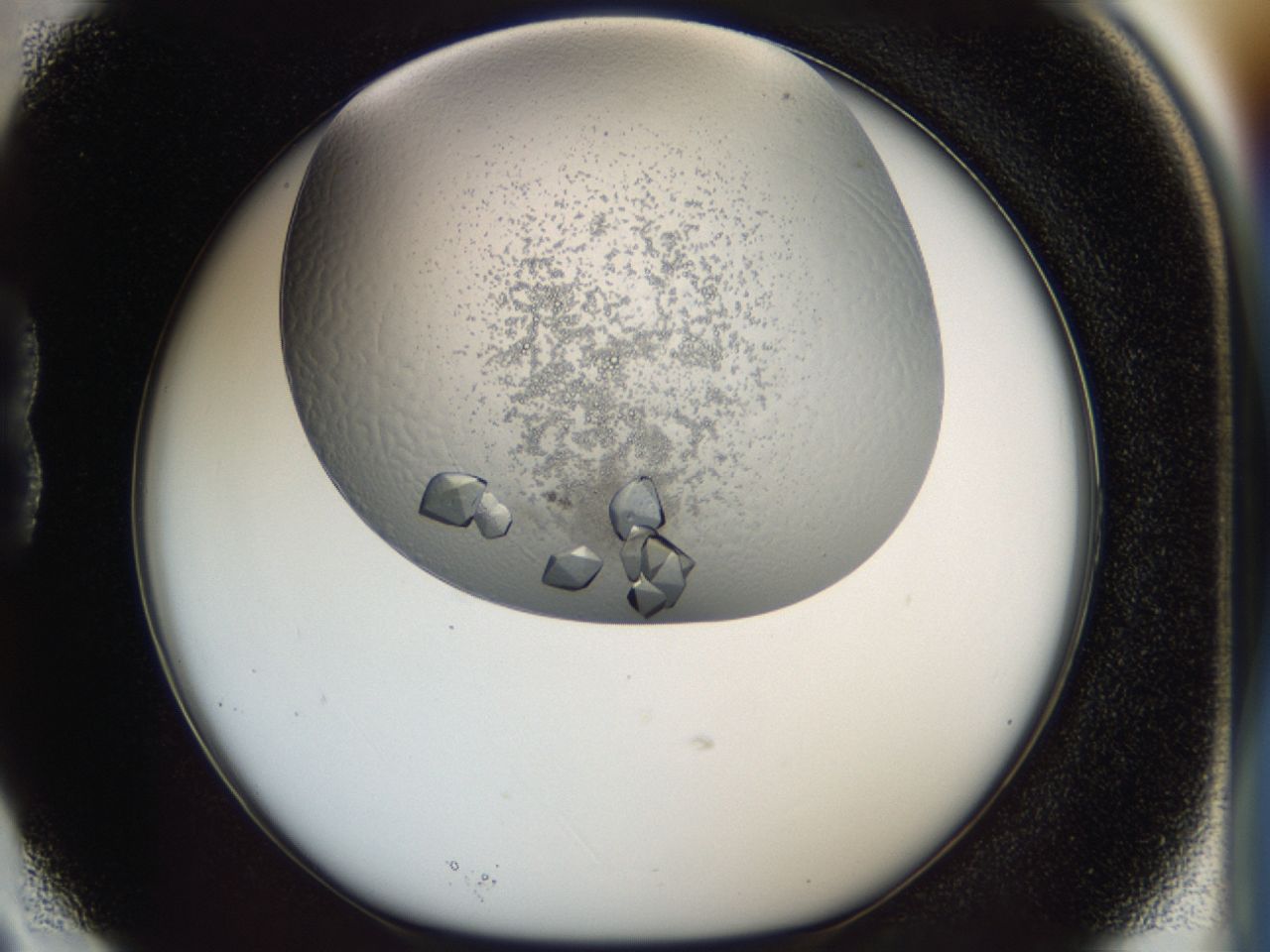 043m_B3_ImagerDefaults_9.jpg