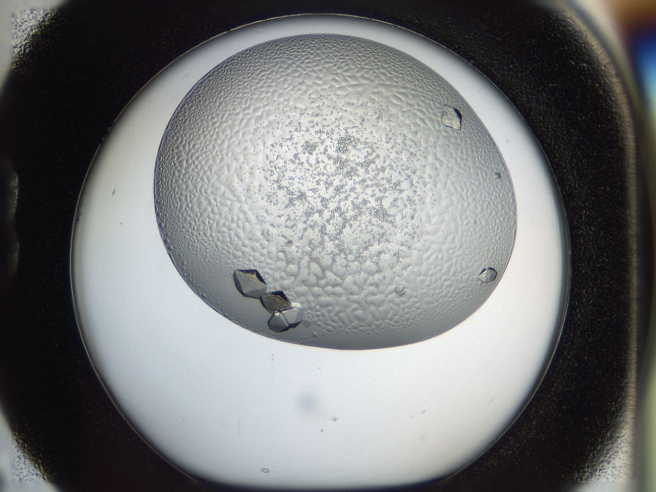 043m_B5_ImagerDefaults_9.jpg