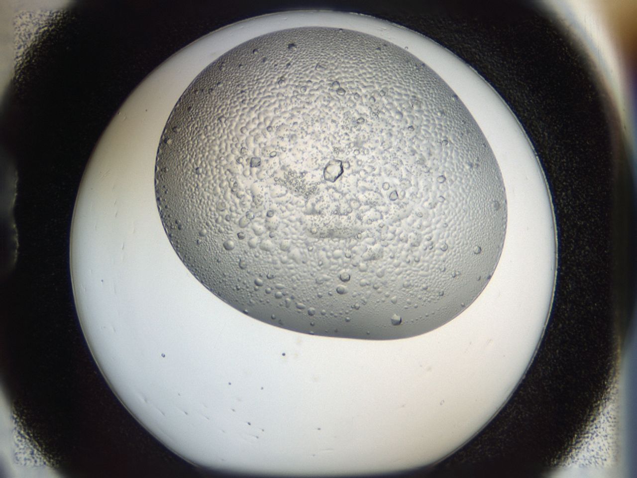 043m_B8_ImagerDefaults_6.jpg