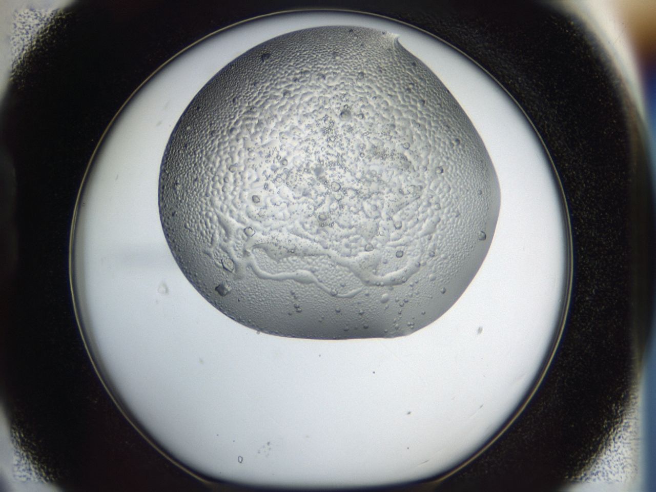 043m_B9_ImagerDefaults_6.jpg
