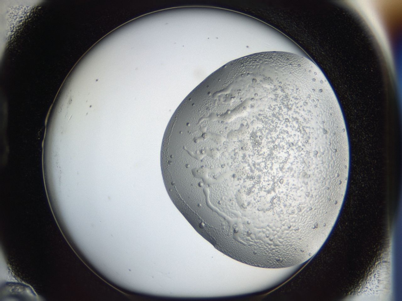 043m_B10_ImagerDefaults_6.jpg