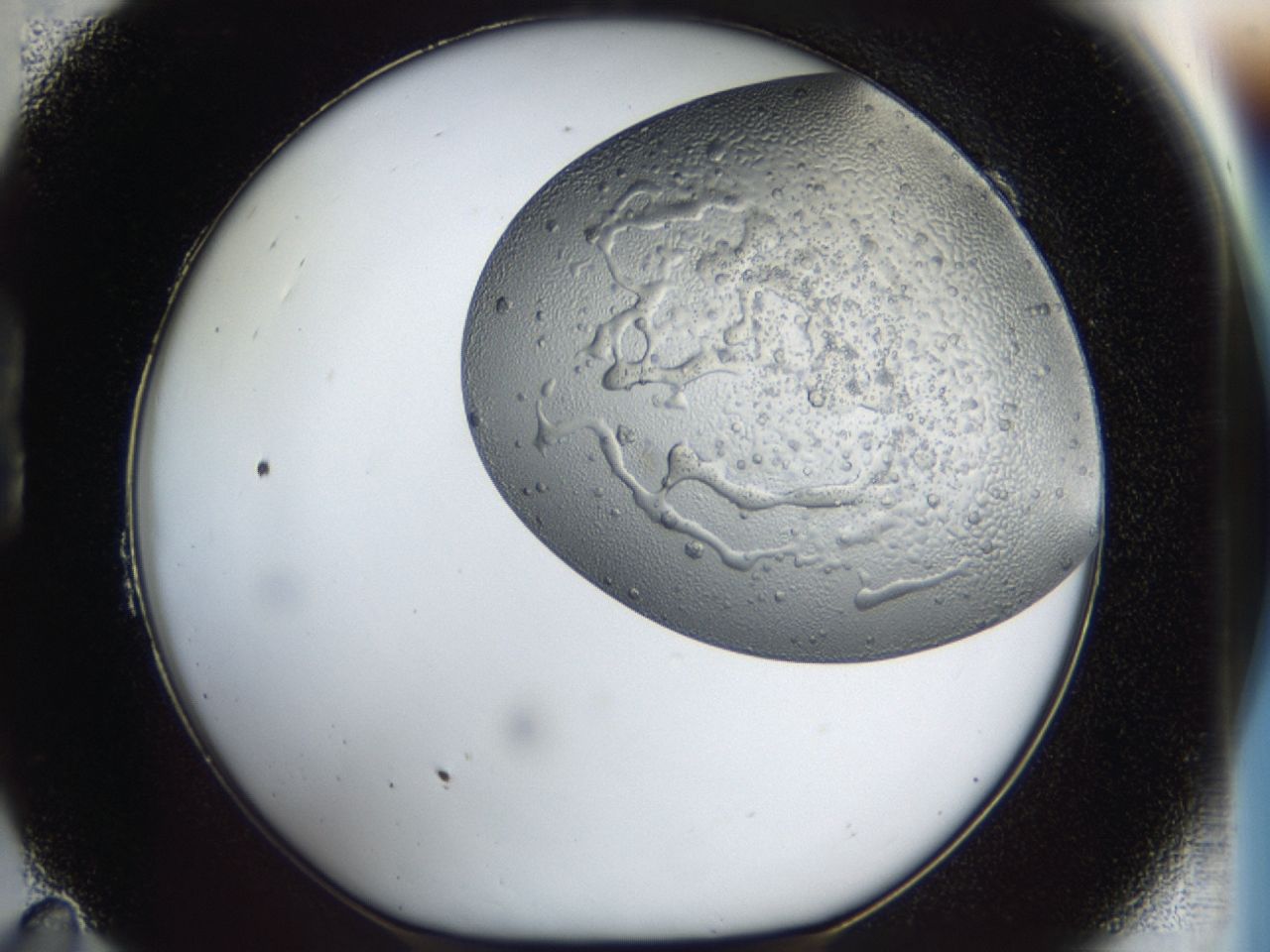 043m_B11_ImagerDefaults_6.jpg