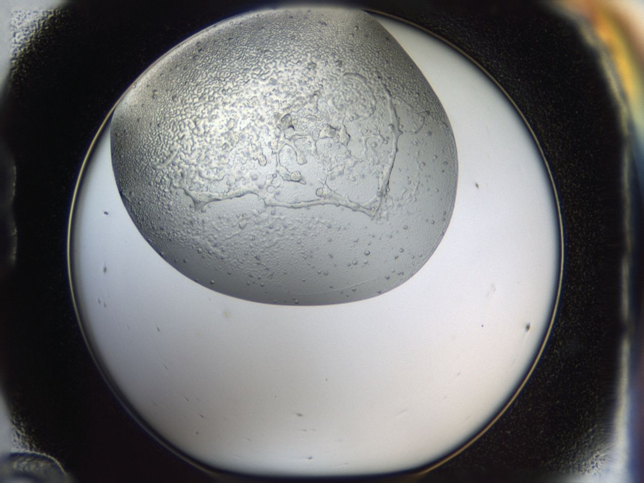 043m_B12_ImagerDefaults_6.jpg