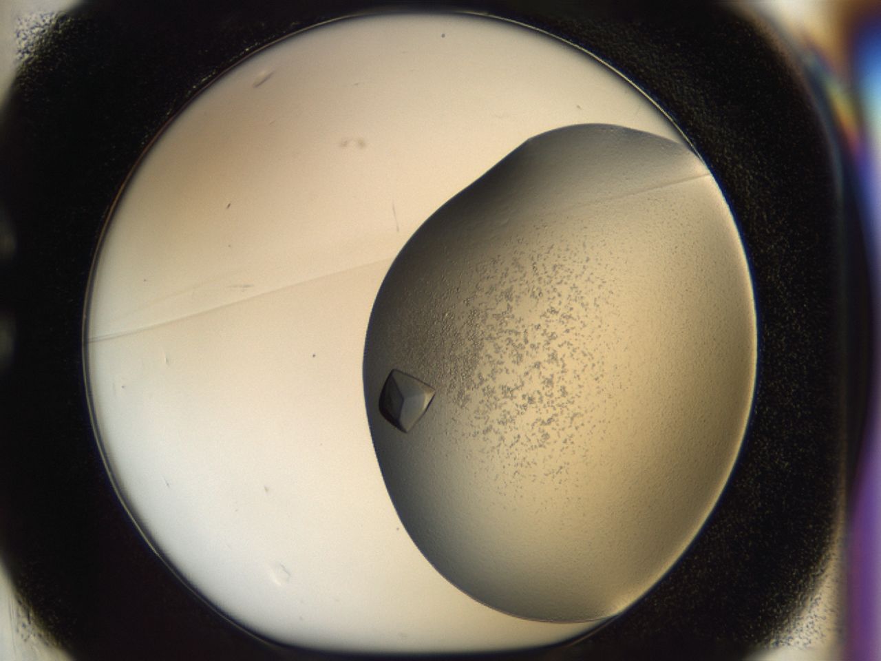 043m_C1_ImagerDefaults_9.jpg