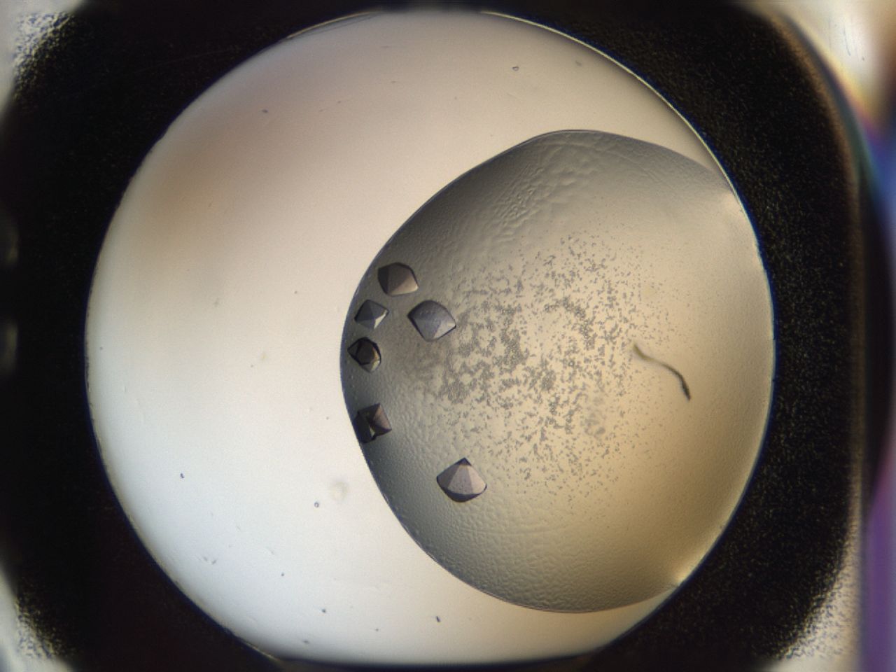 043m_C2_ImagerDefaults_9.jpg