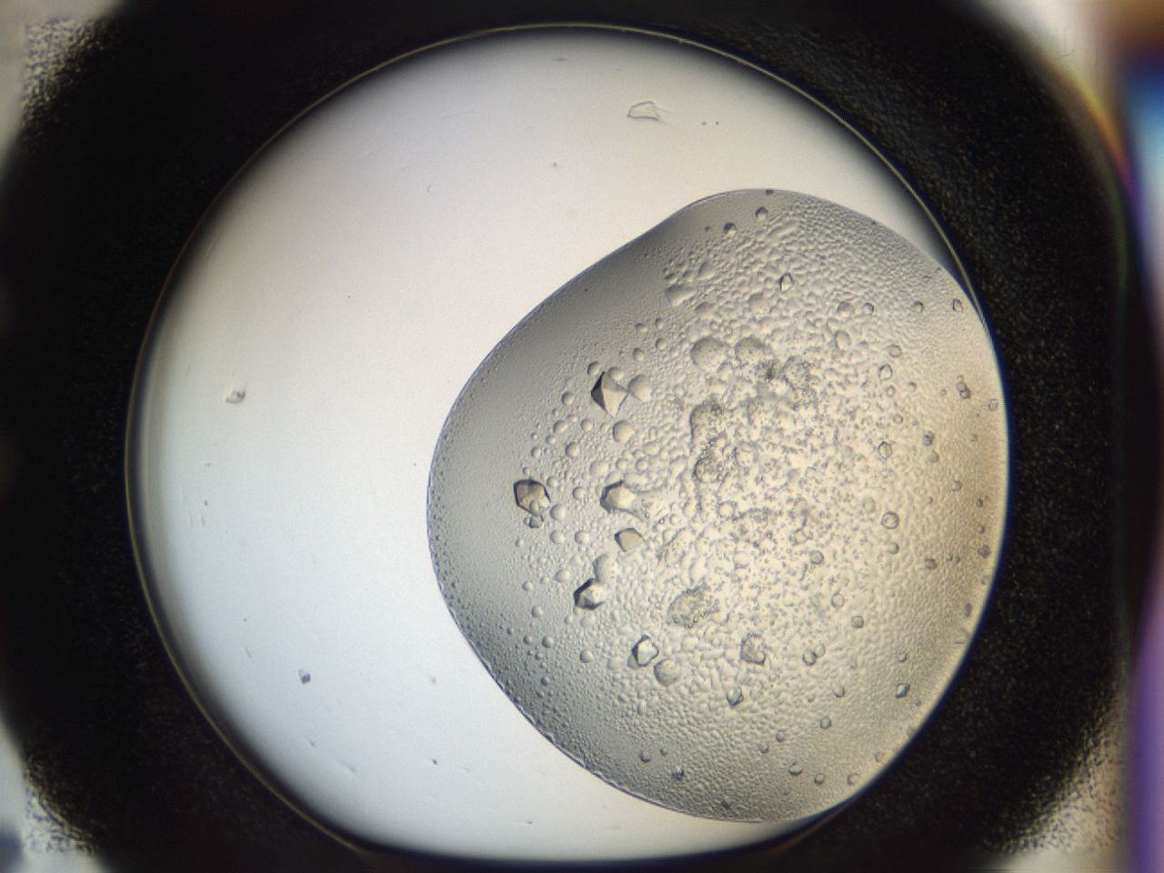 043m_C7_ImagerDefaults_8.jpg