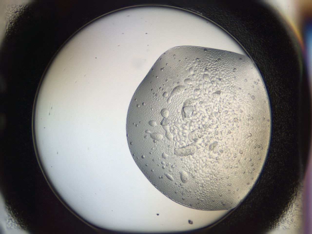 043m_C8_ImagerDefaults_6.jpg