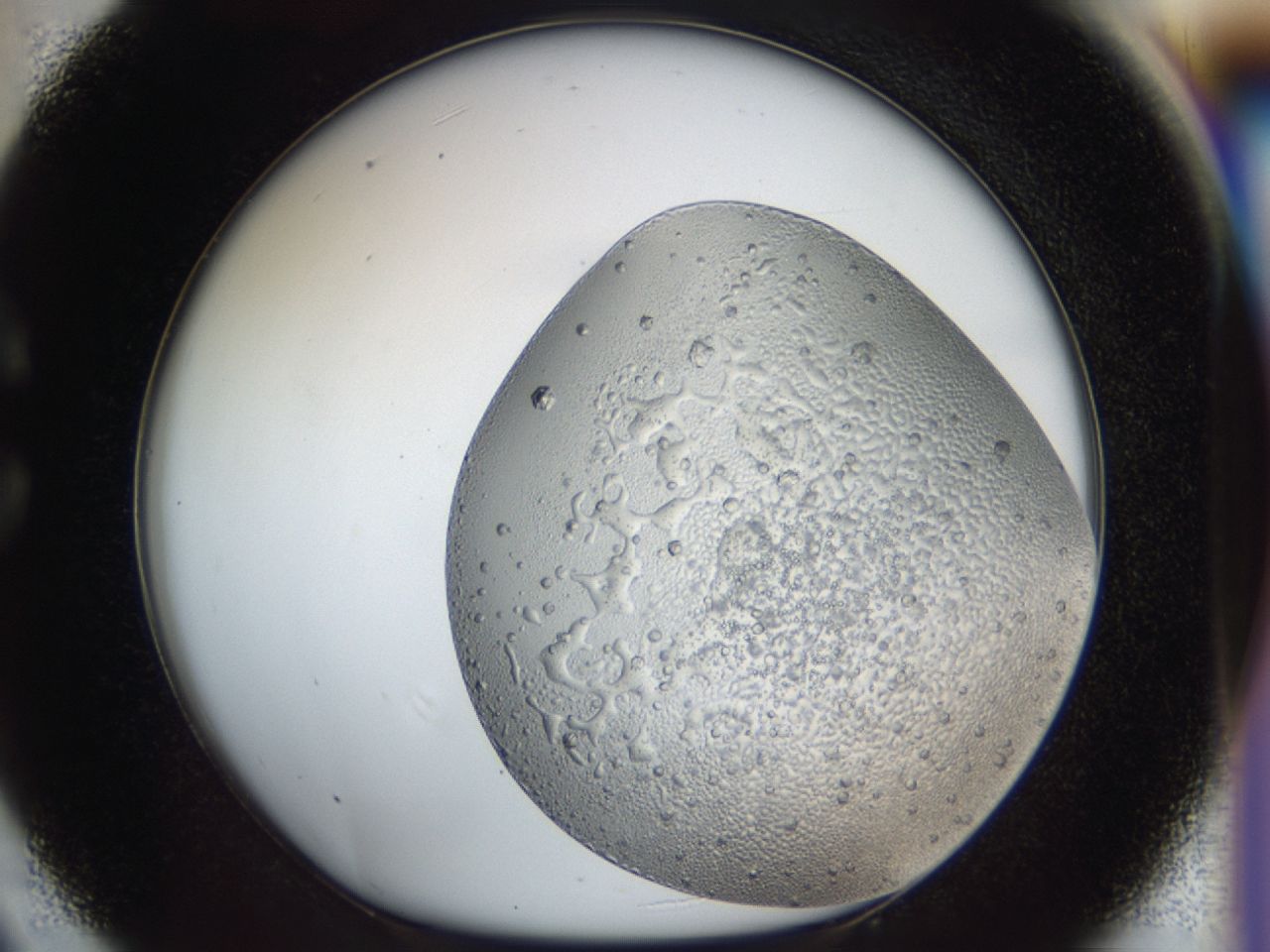 043m_C9_ImagerDefaults_6.jpg