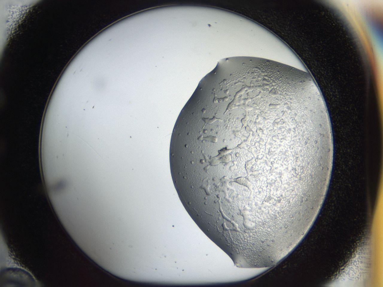 043m_C10_ImagerDefaults_6.jpg