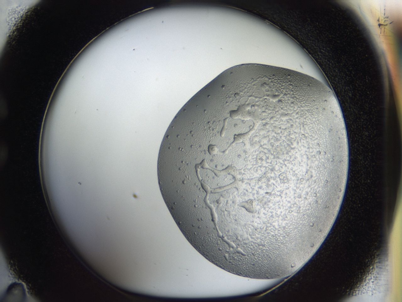 043m_C11_ImagerDefaults_6.jpg